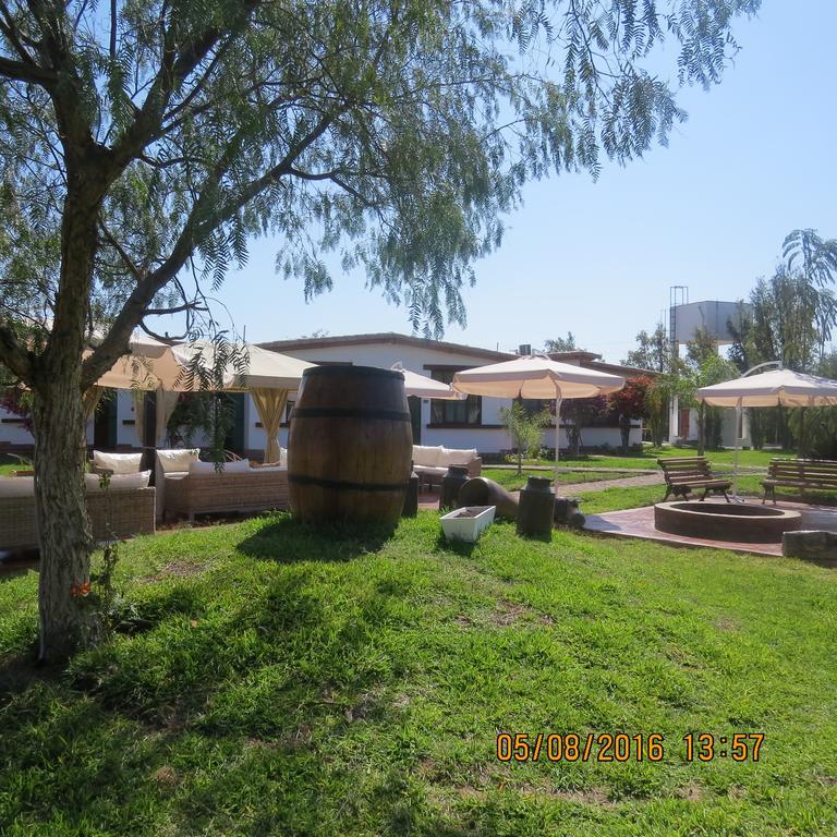 Hotel Casa Hacienda Nasca Oasis à Nazca Extérieur photo